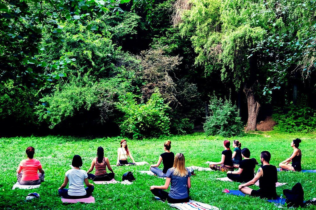 Grup de yoga într-o poiană
