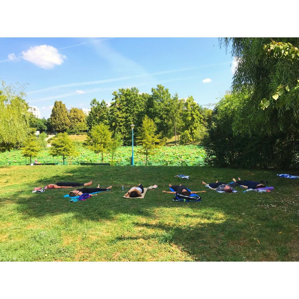 Relaxare în poiană